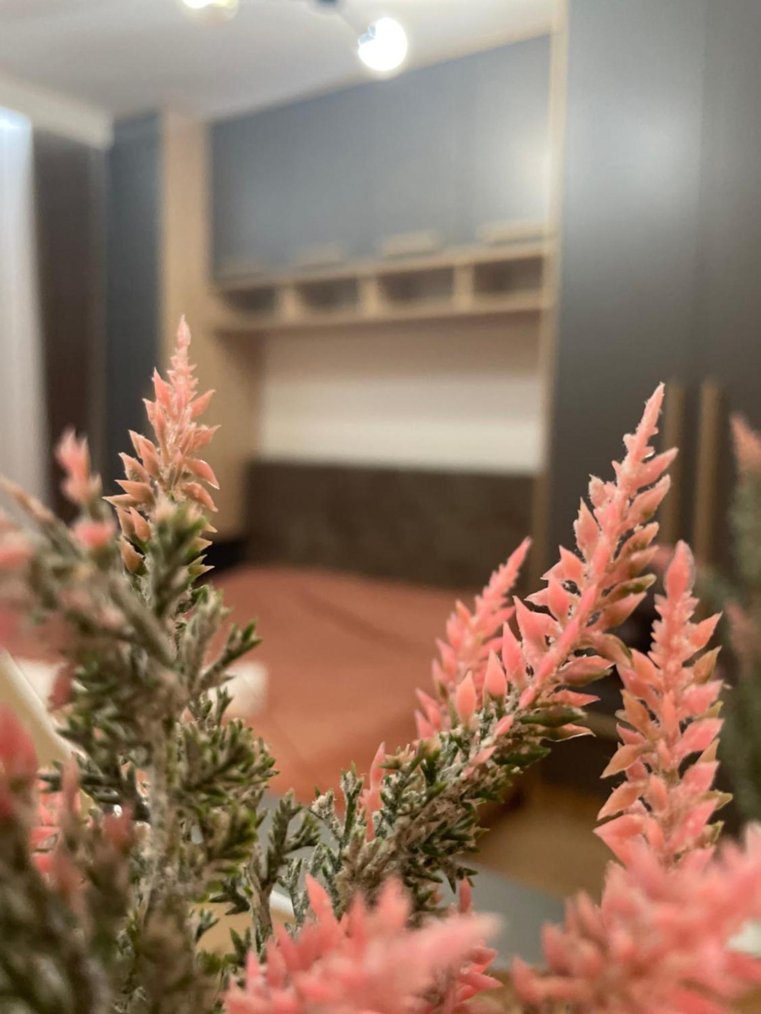 פרישטינה Daf Apartaments מראה חיצוני תמונה